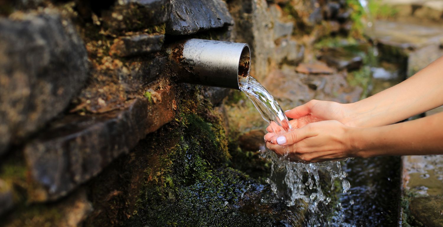 woman collecting water in palm